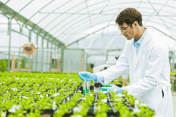 Assistente Técnico Engenheiro Agrônomo